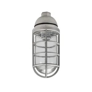 1/2 Inch Vaporproof Pendant Mount VFP100W50CG (Pack of 3)