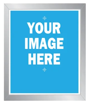 20 x 24 Pre-Burned 80 Mesh Screen