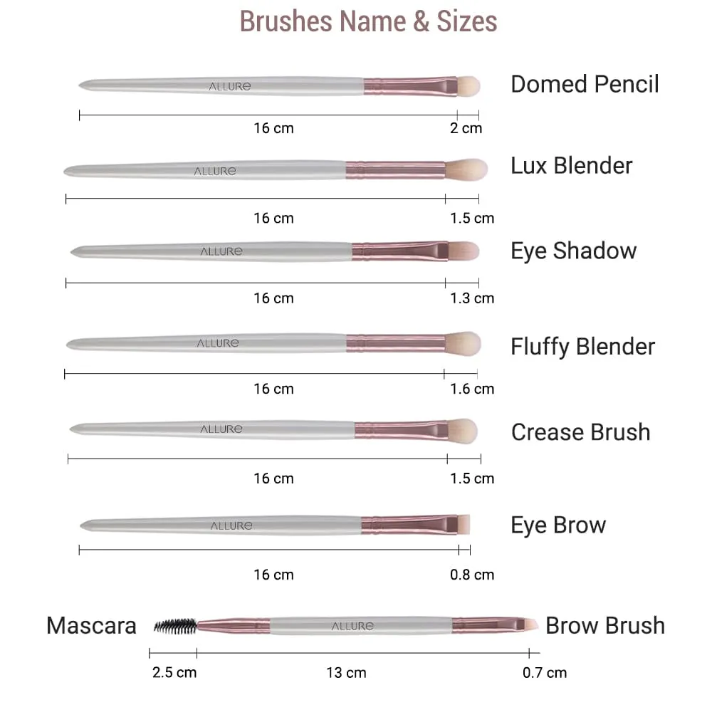 Allure Set of 12 make Brushes