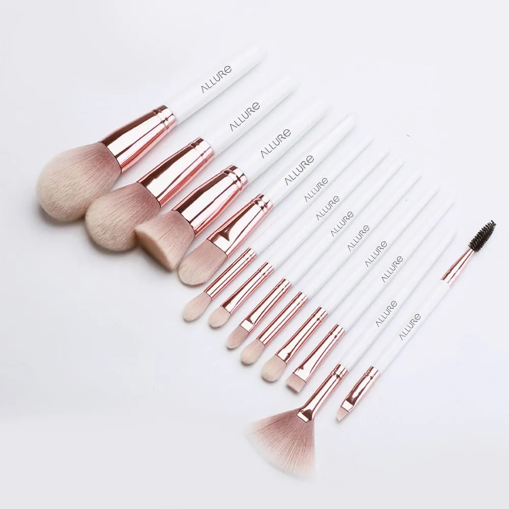 Allure Set of 12 make Brushes