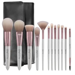 Allure Set of 12 make Brushes