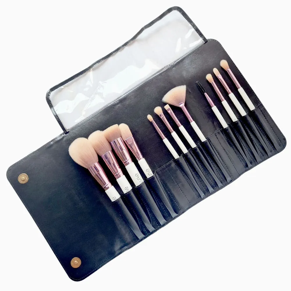 Allure Set of 12 make Brushes