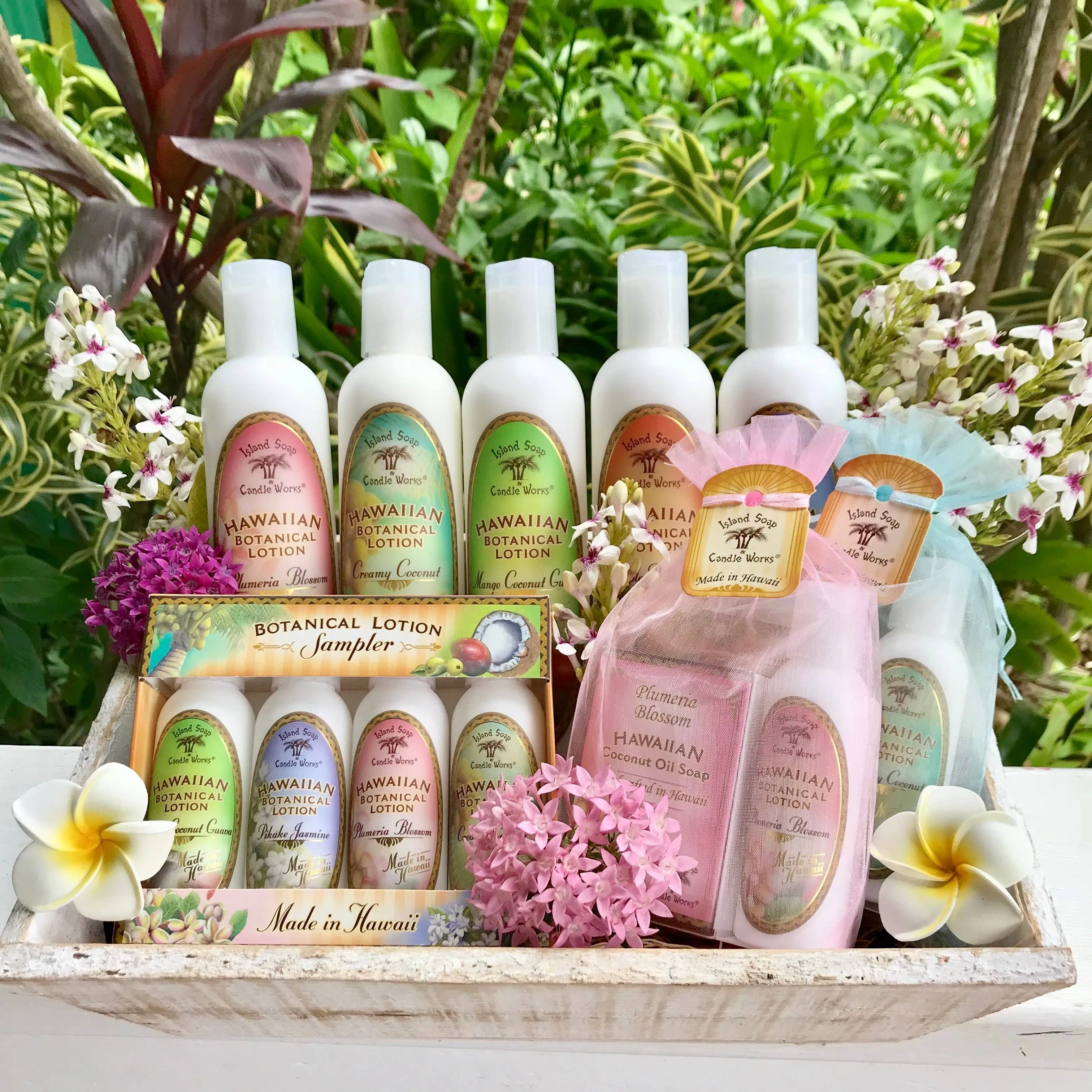 Botanical Lotion Sampler Pack