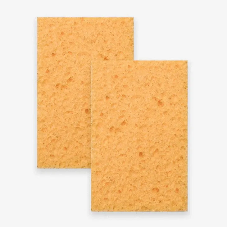 Compostable Kitchen Sponge Set of 2 by Nature Bee
