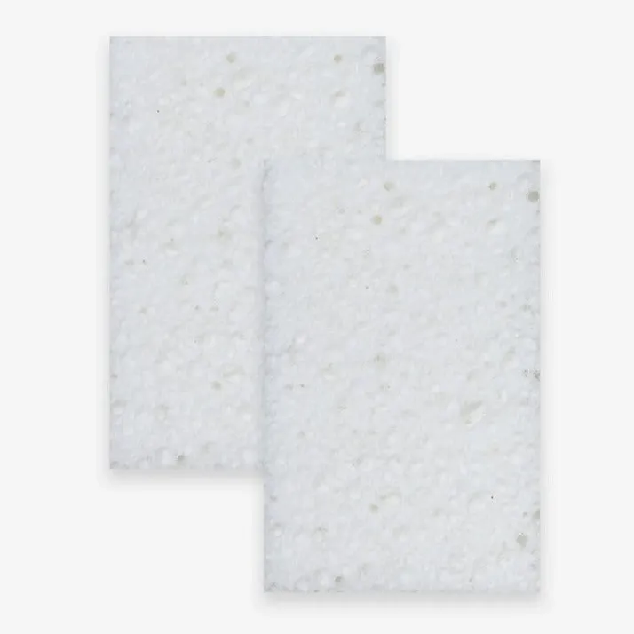 Compostable Kitchen Sponge Set of 2 by Nature Bee