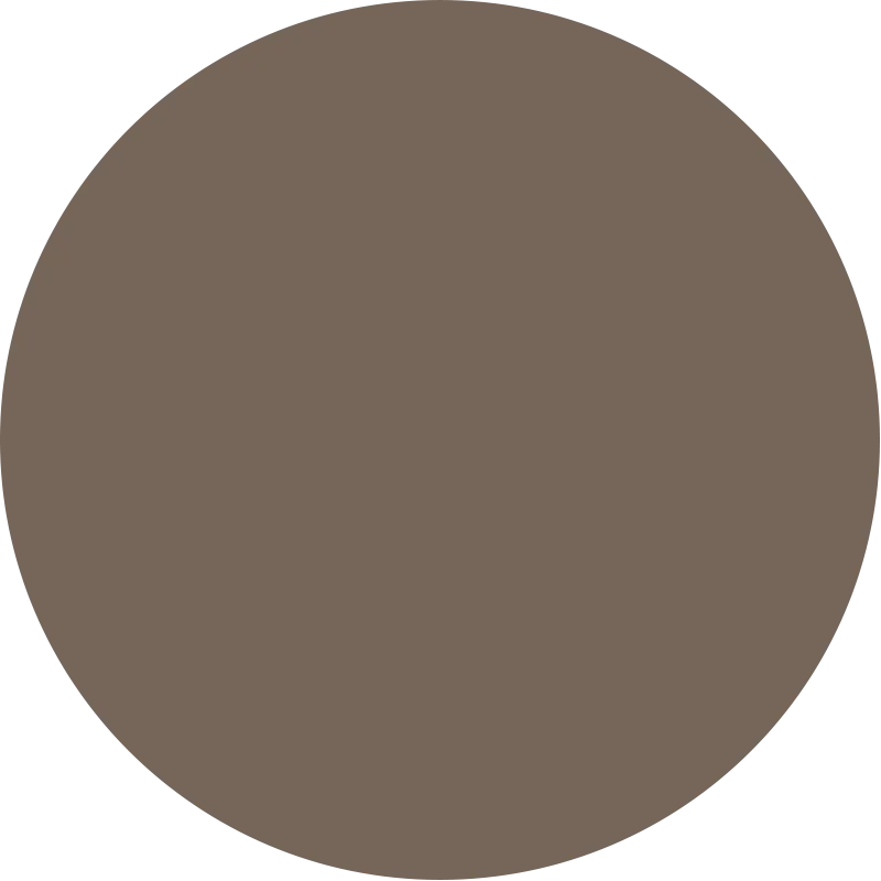 Dual Brow Perfect Medium