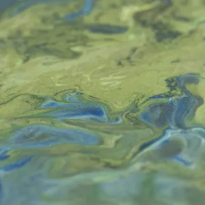 Emulsion resin - Grand - Green blue