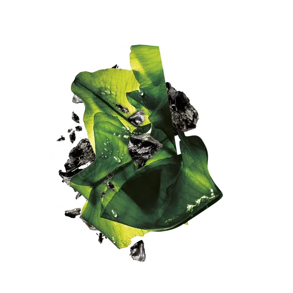 GARNIER PURE CHARCOAL BLACK SHEET MASK