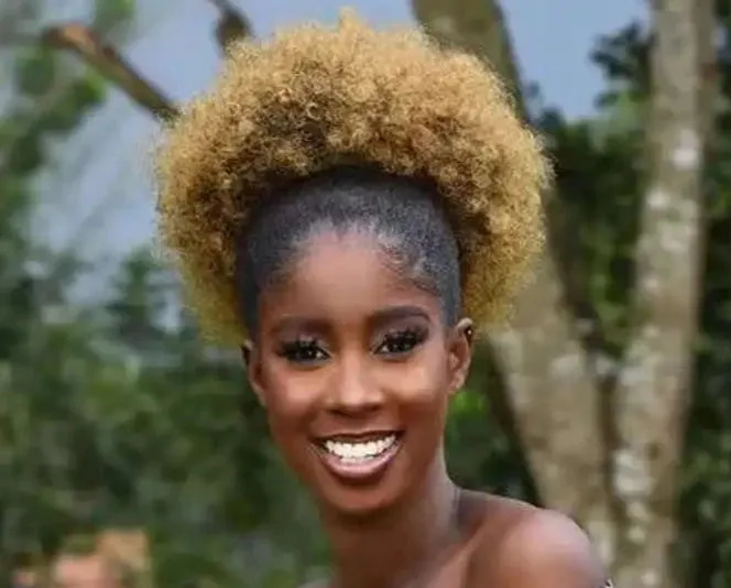 Kinky Big Afro Puff Drawstring Ponytail Extensions
