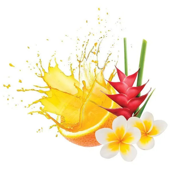 La Palm Scrub | Tropical Citrus