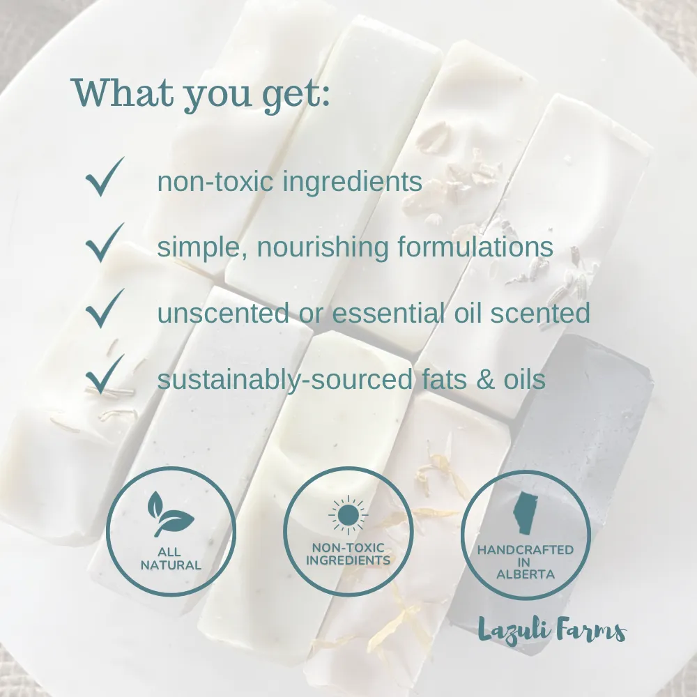 Lavender Vanilla Sugar Scrub | Tallow   Sugar   Lavender   Vanilla | Facial Cleansing & Hydration