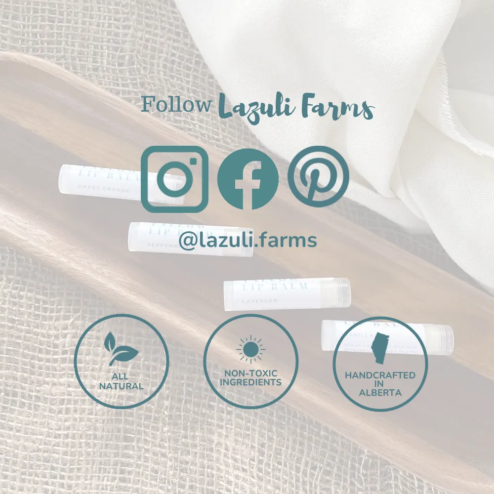 Lavender Vanilla Sugar Scrub | Tallow   Sugar   Lavender   Vanilla | Facial Cleansing & Hydration