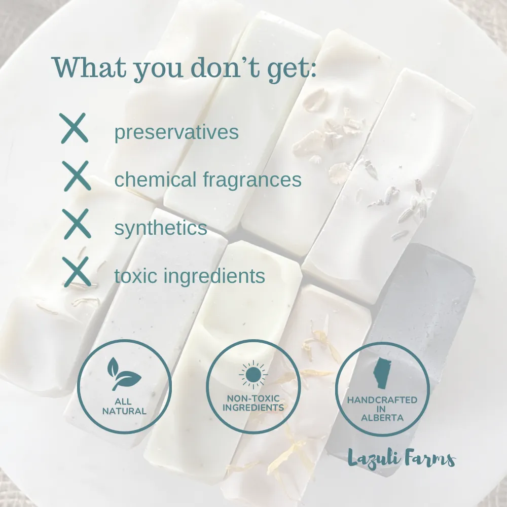 Lavender Vanilla Sugar Scrub | Tallow   Sugar   Lavender   Vanilla | Facial Cleansing & Hydration