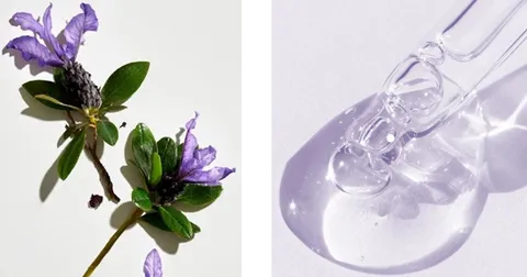 NEOGEN Special Treatment Real Bakuchiol Ferming Serum سيروم باكوتشيول للبشرة