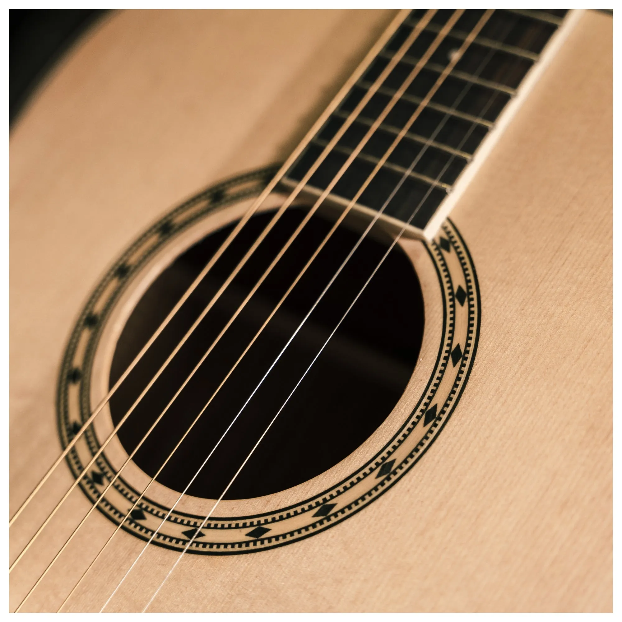 Peavey DELTA-WOODS DW-2 Solid Top Dreadnought Acoustic Guitar