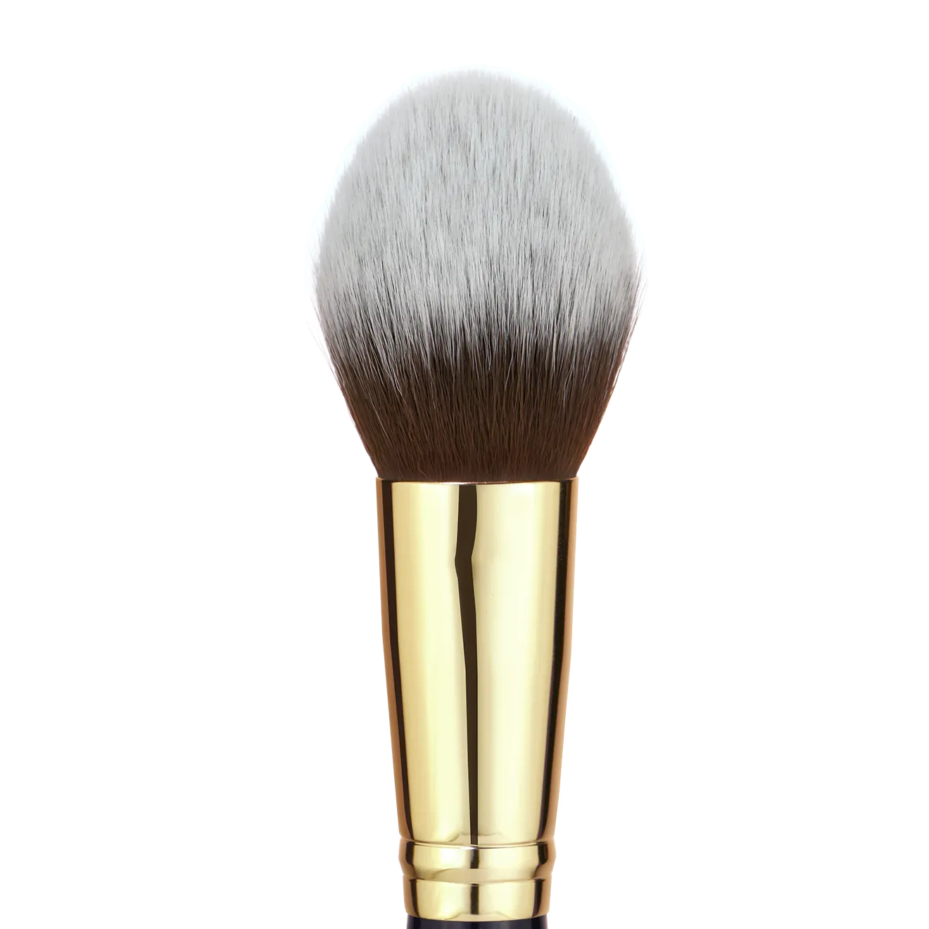 Pro Powder v2