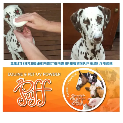 PUFF Equine UV Powder 250g
