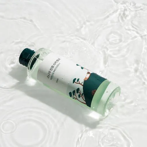 ROUND LAB pine calming cica toner تونر السيكا من راوند لاب