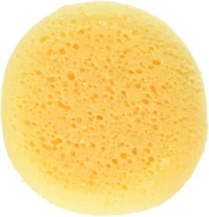 Round Sponge