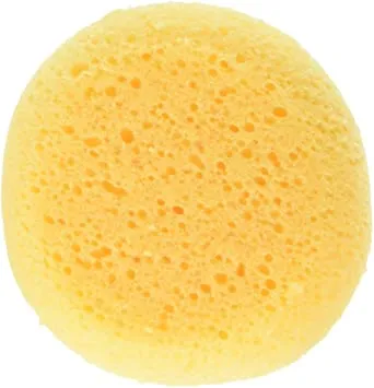 Round Sponge