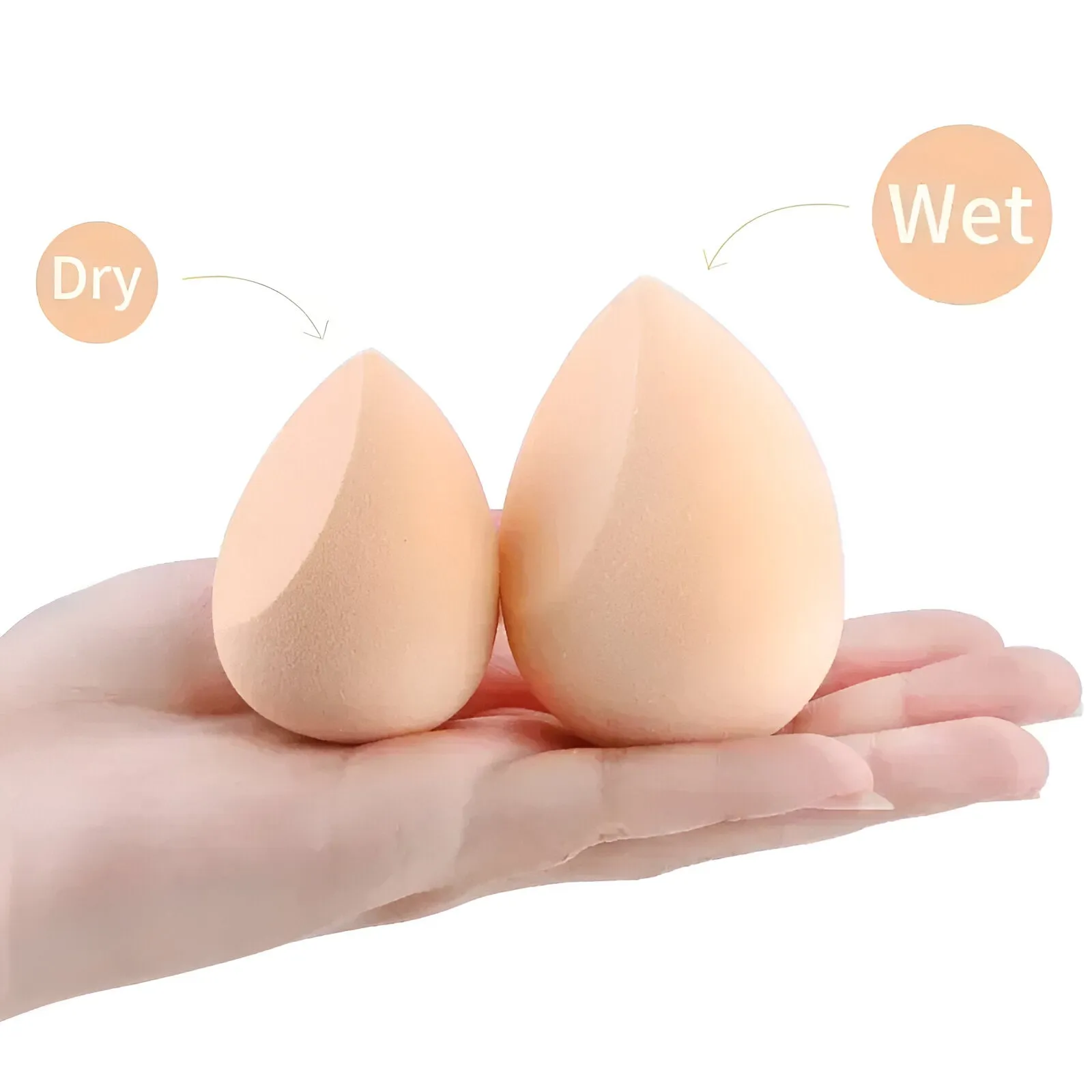 Soft Beauty Makeup Sponge Tool