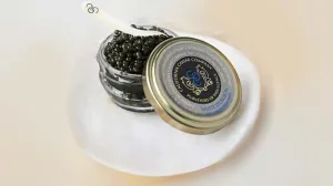 White Sturgeon Pearl Set